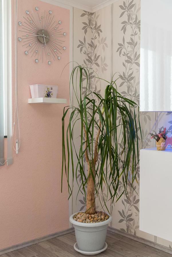 Apartment Danijela II 希贝尼克 外观 照片